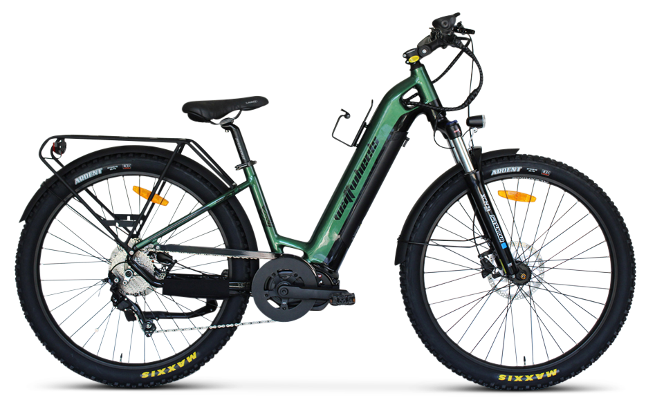 Wattwheels Bighorn LS 2023 Model